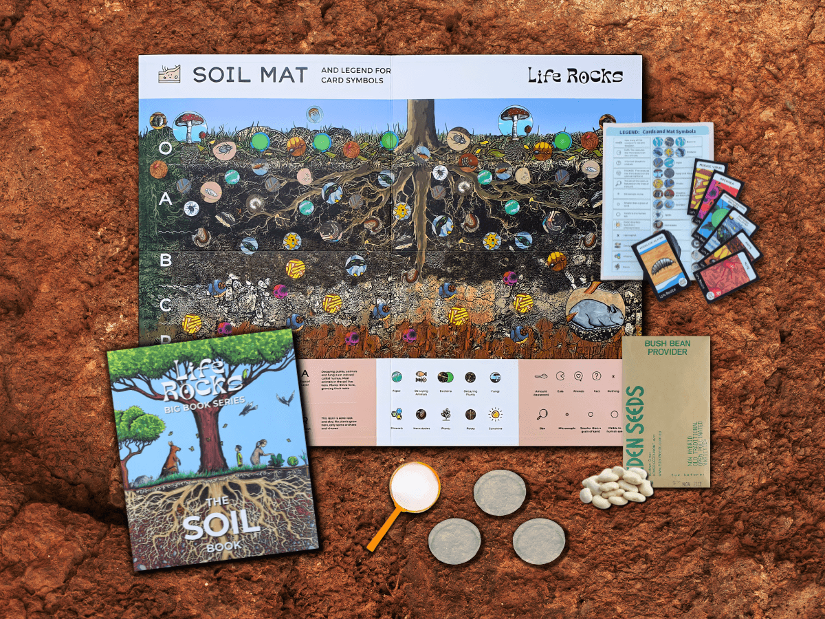 Mini Soil Kit for Kids