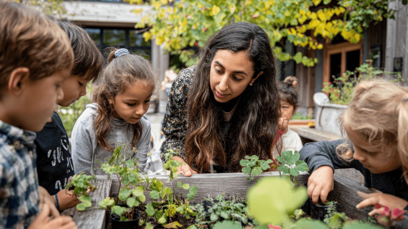Teaching from the ground up - sustainability education