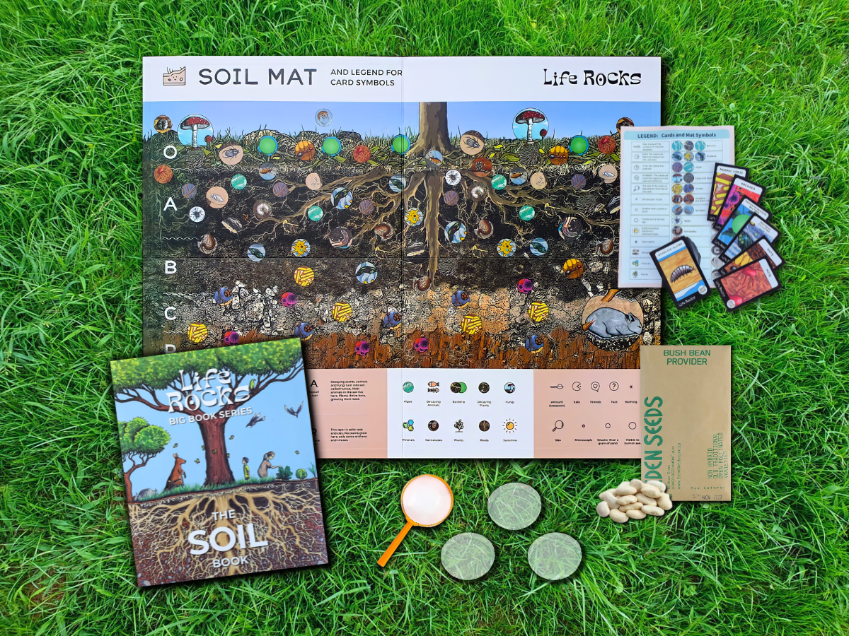 Mini Soil Kit - Back to School